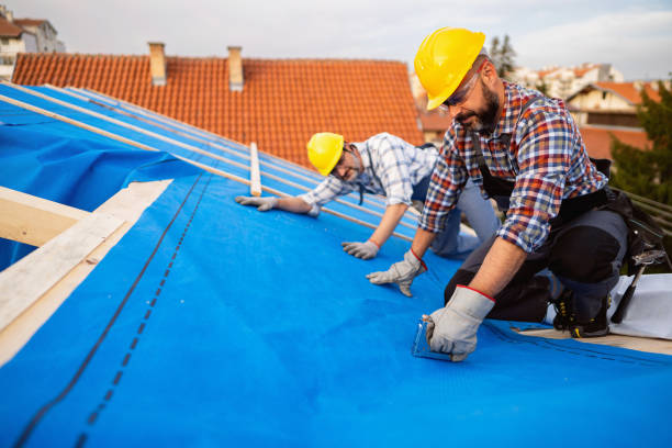 Best Roof Leak Repair  in Belle Plaine, KS